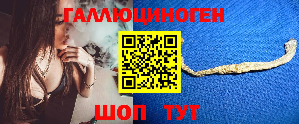 Черняховск  Псилоцибиновые грибы прущие грибы  Вход с VPN 